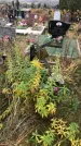 Захоронение ID 1308368
