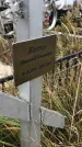 Захоронение ID 1308369