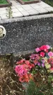 Захоронение ID 1308431