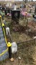 Захоронение ID 1308452