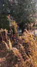 Захоронение ID 1308480