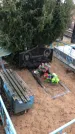 Захоронение ID 1308556