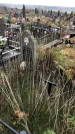 Захоронение ID 1308568