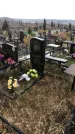 Захоронение ID 1308572