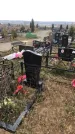Захоронение ID 1308580