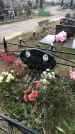 Захоронение ID 1308581