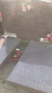 Захоронение ID 1308648