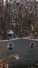 Захоронение ID 1308650