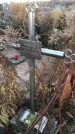 Захоронение ID 1308690