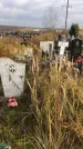 Захоронение ID 1308717