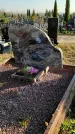 Захоронение ID 1308856