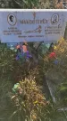 Захоронение ID 1309034