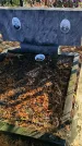 Захоронение ID 1309080