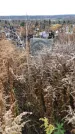 Захоронение ID 1309121