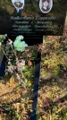 Захоронение ID 1309137