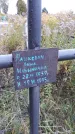 Захоронение ID 1304832