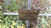 Захоронение ID 1304841
