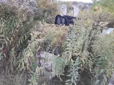Захоронение ID 1300233