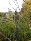 Захоронение ID 1300246