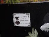 Захоронение ID 1300284