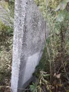 Захоронение ID 1308375