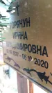 Захоронение ID 1305538