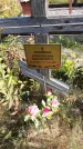 Захоронение ID 1306134