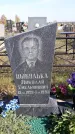 Захоронение ID 1309045