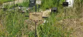 Захоронение ID 1303749