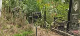 Захоронение ID 1303757