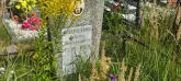 Захоронение ID 1303765