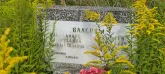 Захоронение ID 1303768