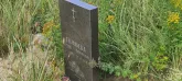 Захоронение ID 1303781