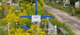 Захоронение ID 1303782