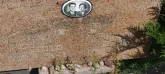 Захоронение ID 1303825