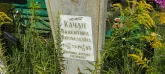 Захоронение ID 1303834