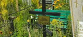 Захоронение ID 1303835