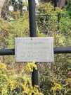 Захоронение ID 1299056