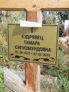 Захоронение ID 1299062
