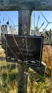 Захоронение ID 1309245
