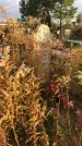 Захоронение ID 1309301