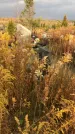 Захоронение ID 1309351