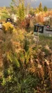 Захоронение ID 1309354