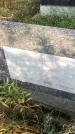 Захоронение ID 1309356