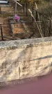 Захоронение ID 1309385