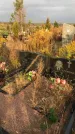 Захоронение ID 1309392
