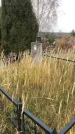 Захоронение ID 1309466