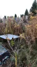 Захоронение ID 1309543