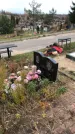 Захоронение ID 1309562
