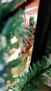 Захоронение ID 1309572